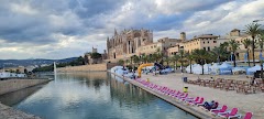 Palma